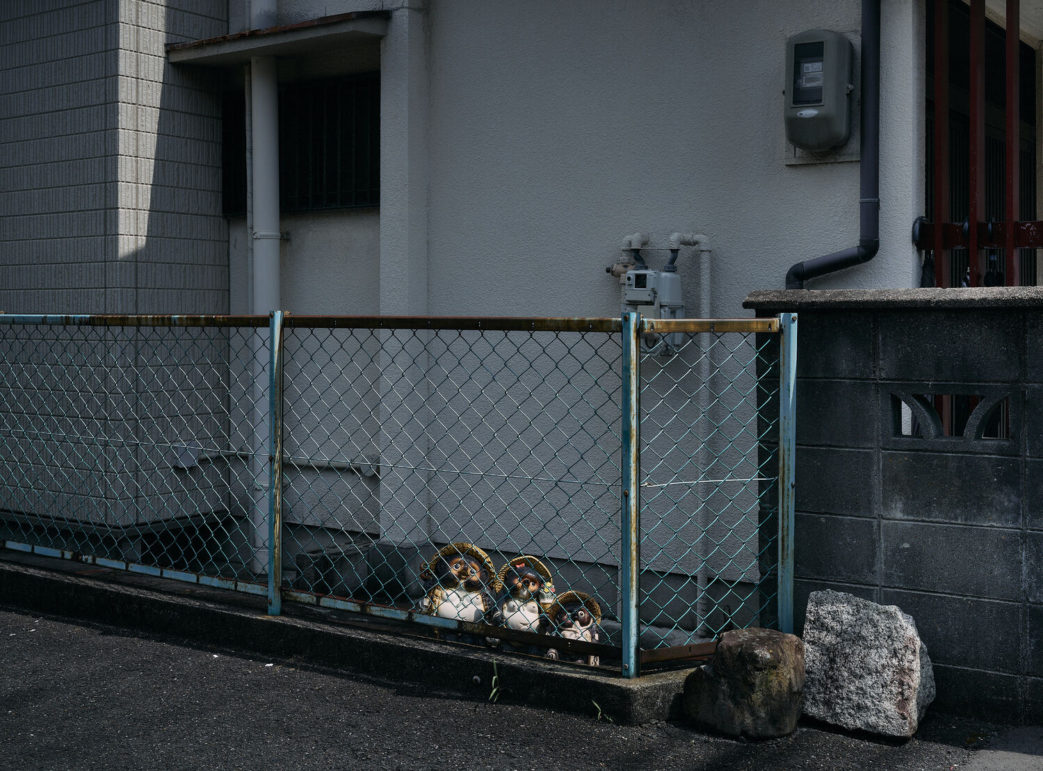 錆びた柵の影に並ぶ信楽タヌキ