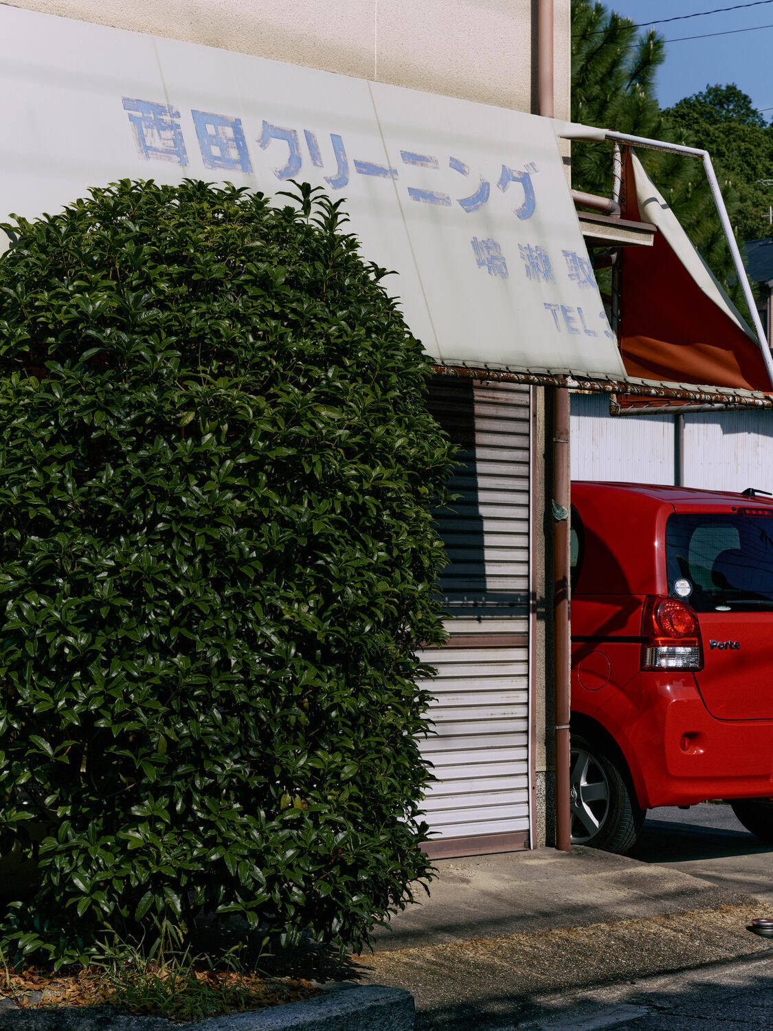 赤い車と緑陰が守る休業の店