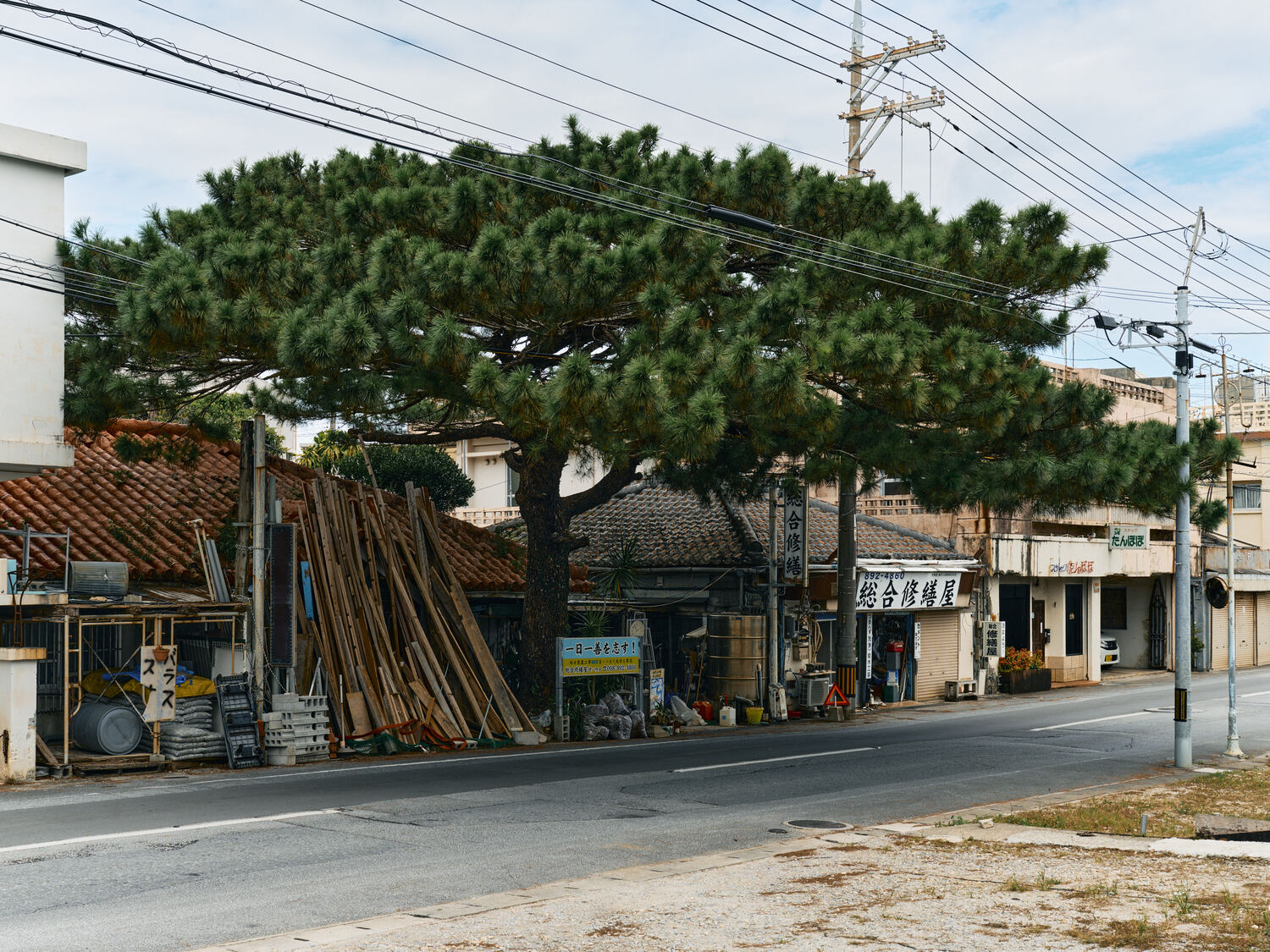 大樹に守られた修繕屋