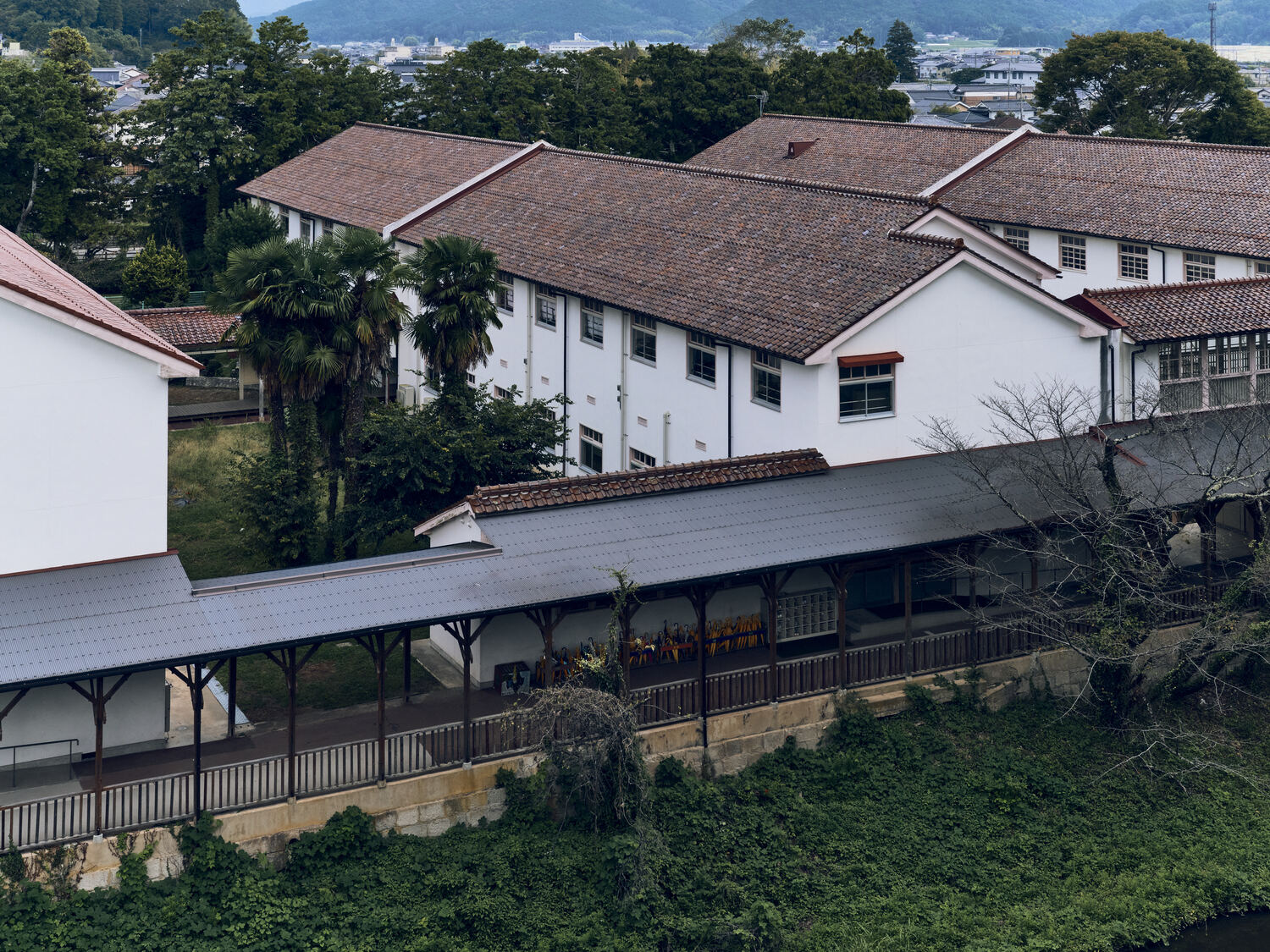 城跡から見下ろす小学校