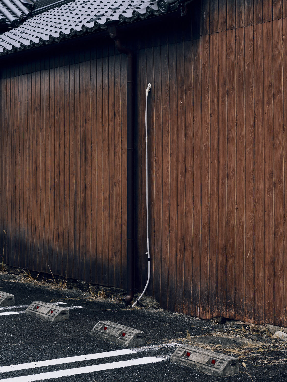 壁をなぞる細い管