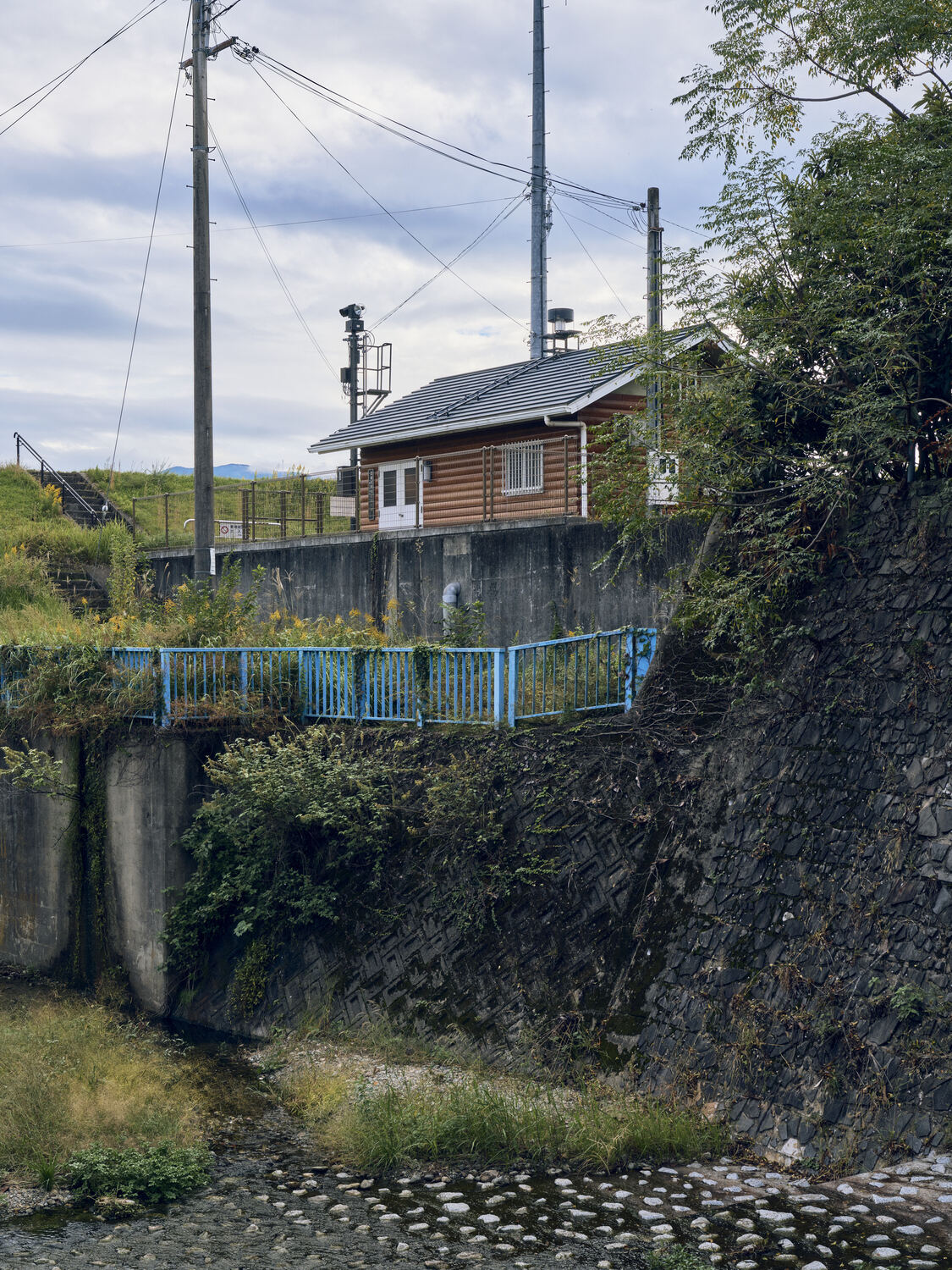 川辺の構造物と草木