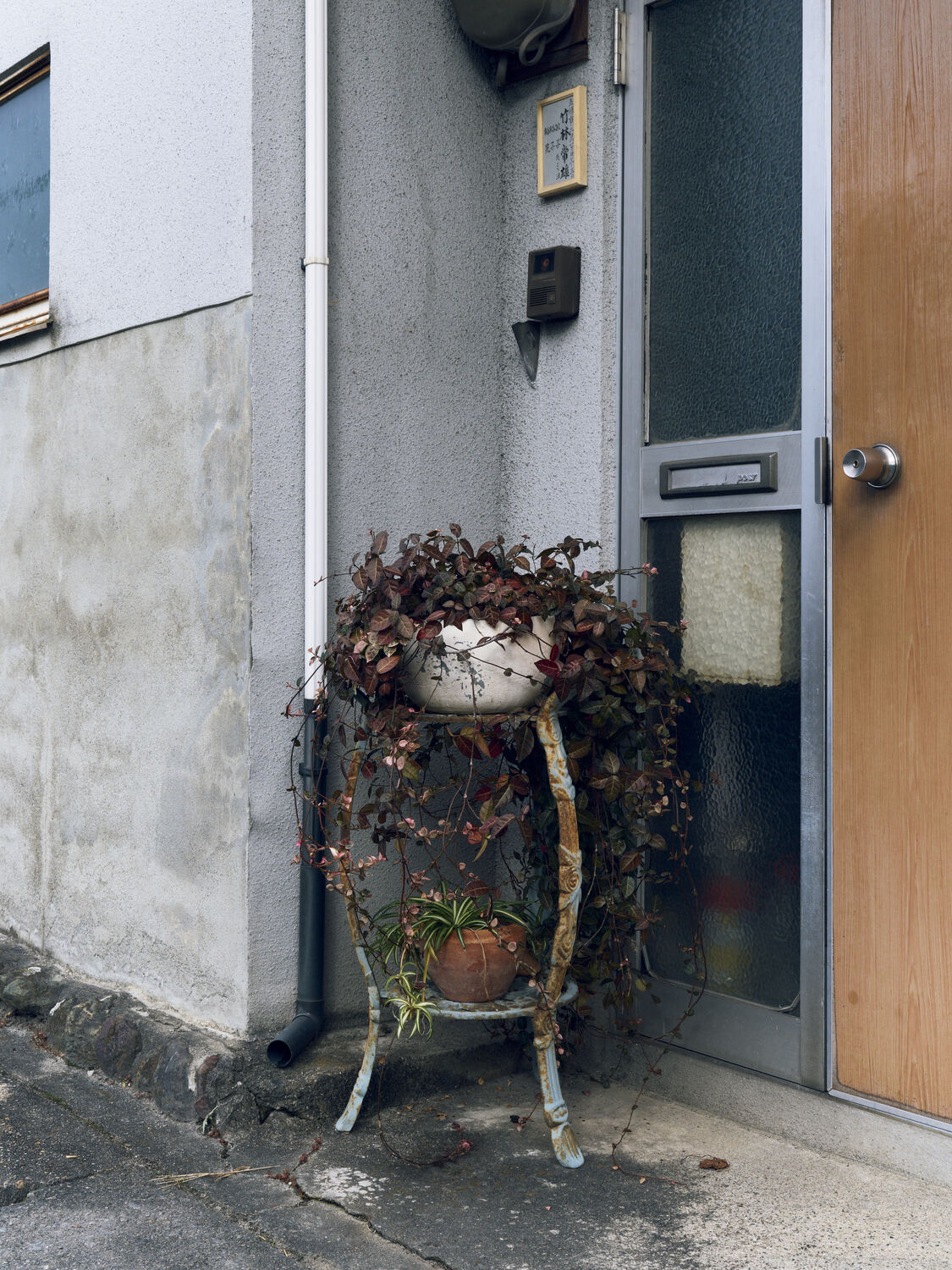 長年の生活と植物の関係性