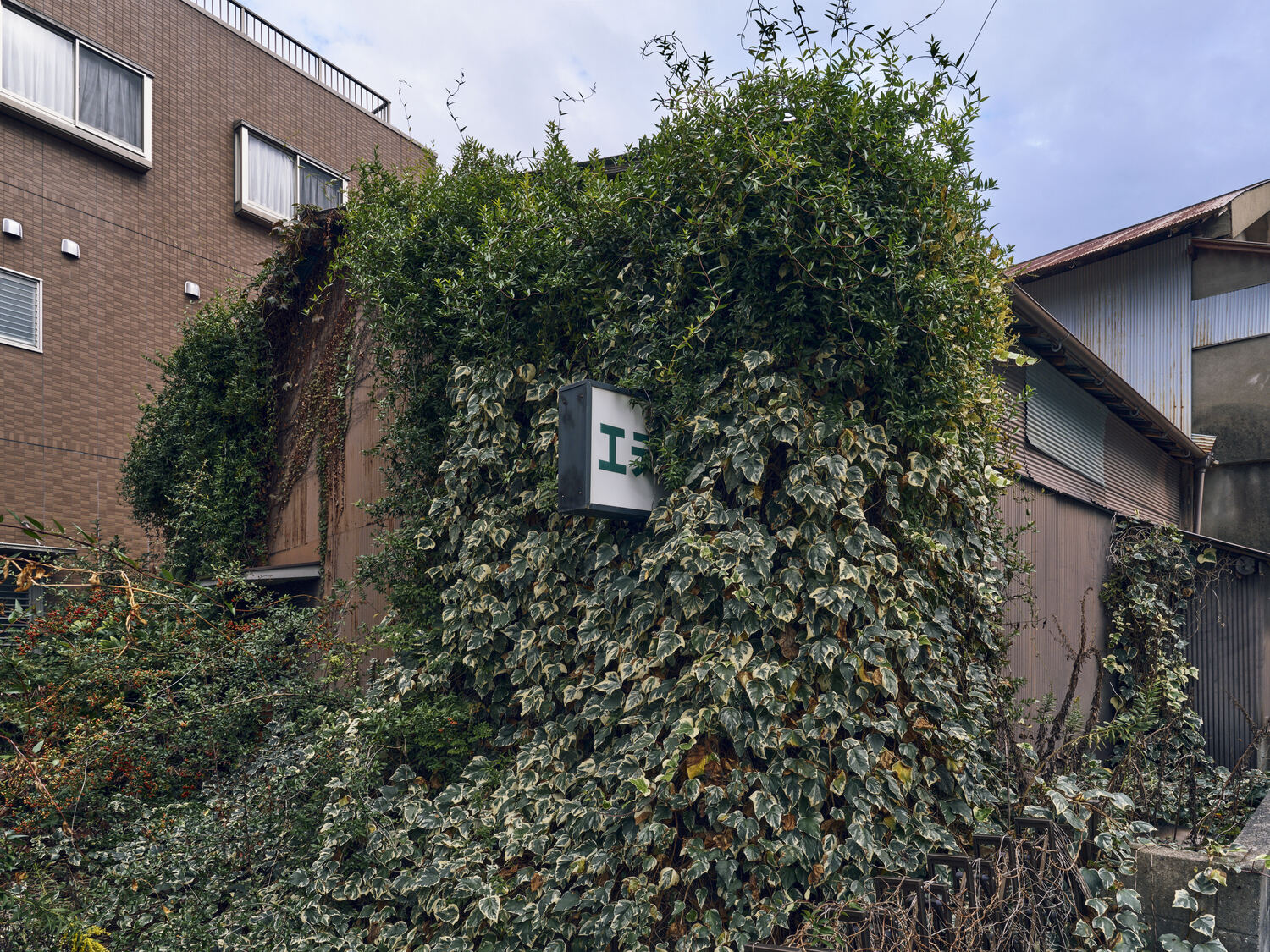 緑に飲み込まれた楽園