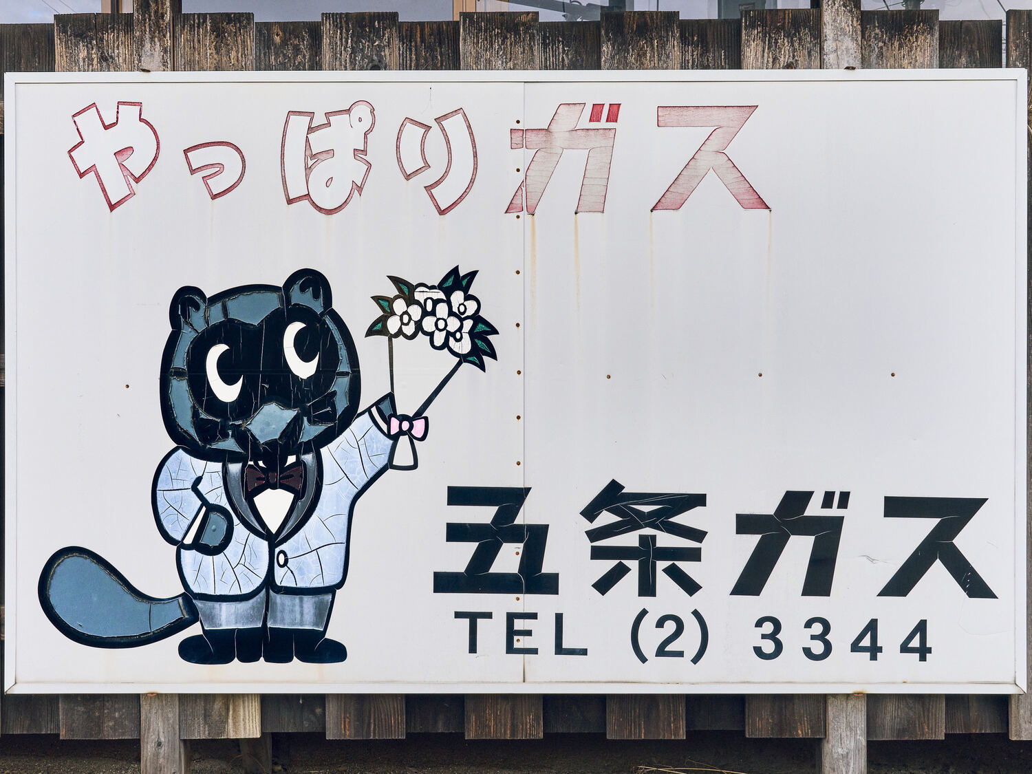 花束を掲げるスーツたぬき