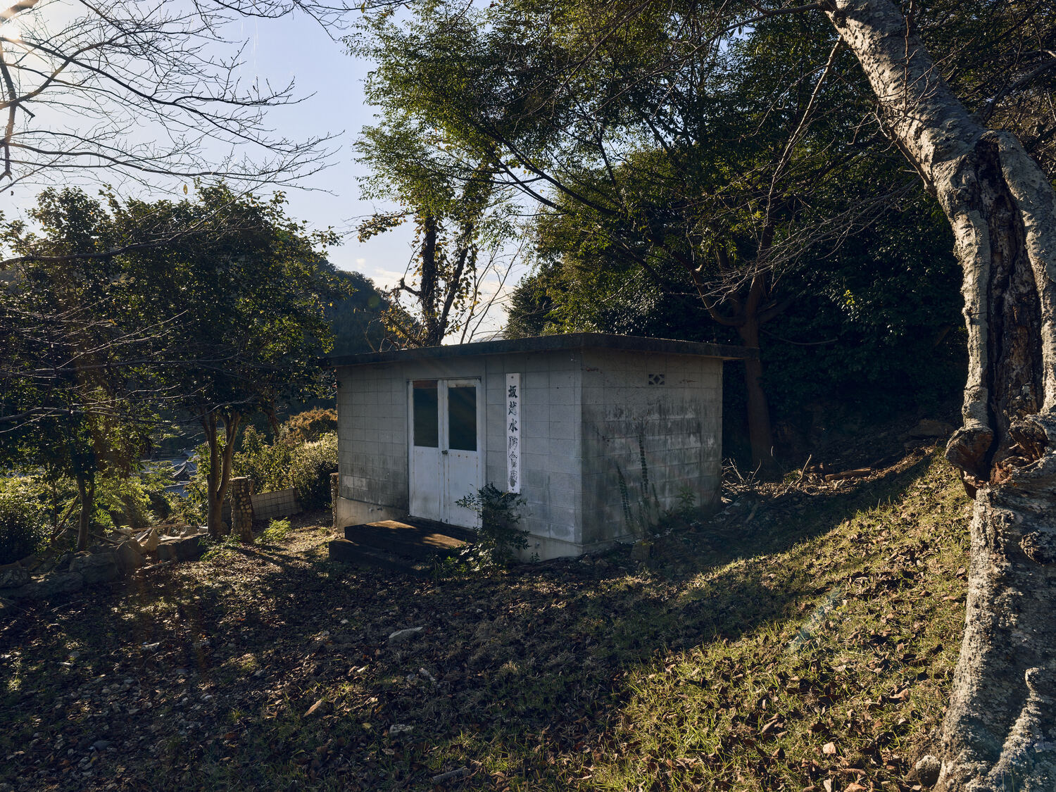 斜面に立つ水防倉庫に降り注ぐ斜光