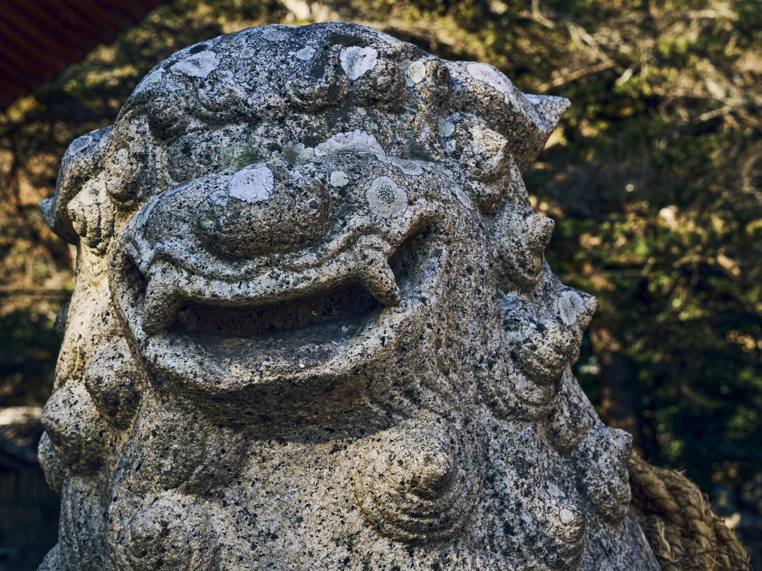 大避神社の狛犬（阿形）