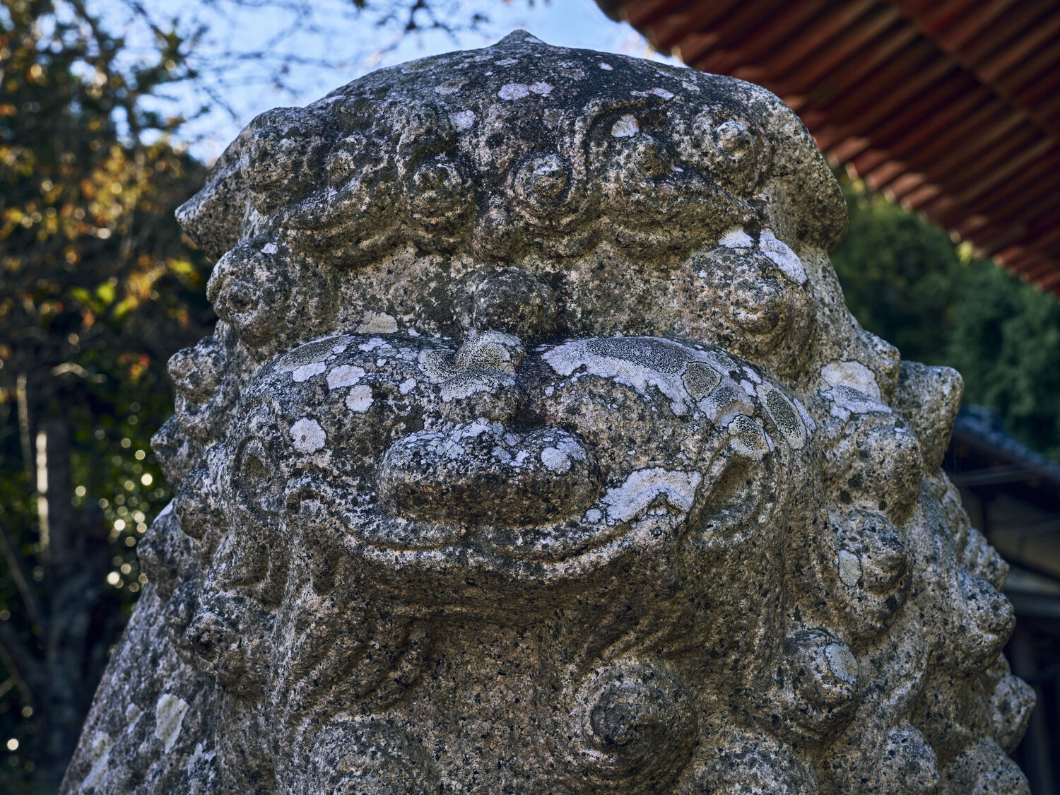 大避神社の狛犬（吽形）