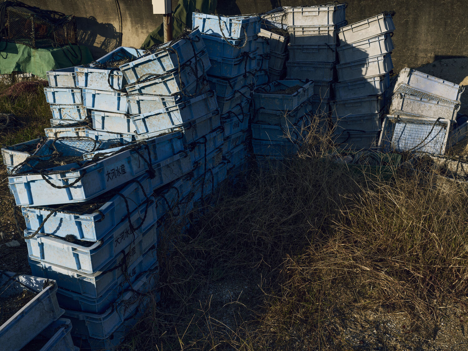 夕景（プラスチックコンテナ）