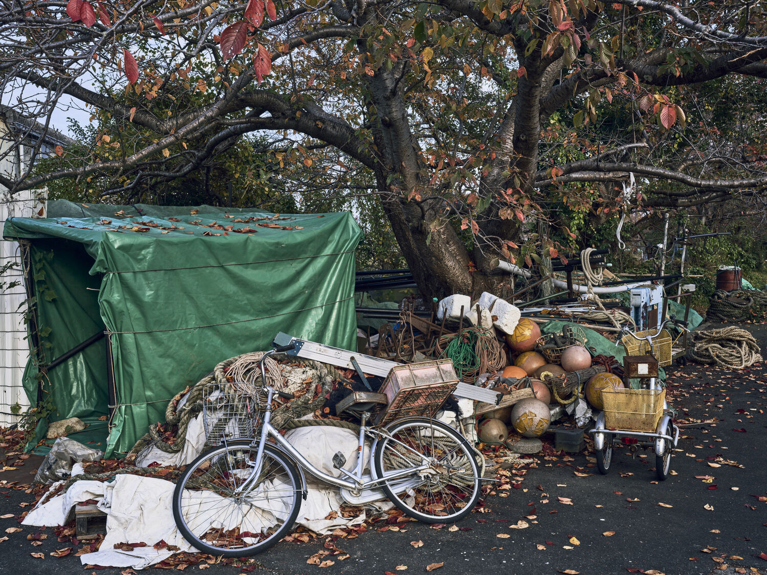 島景（桜と道具と自転車）