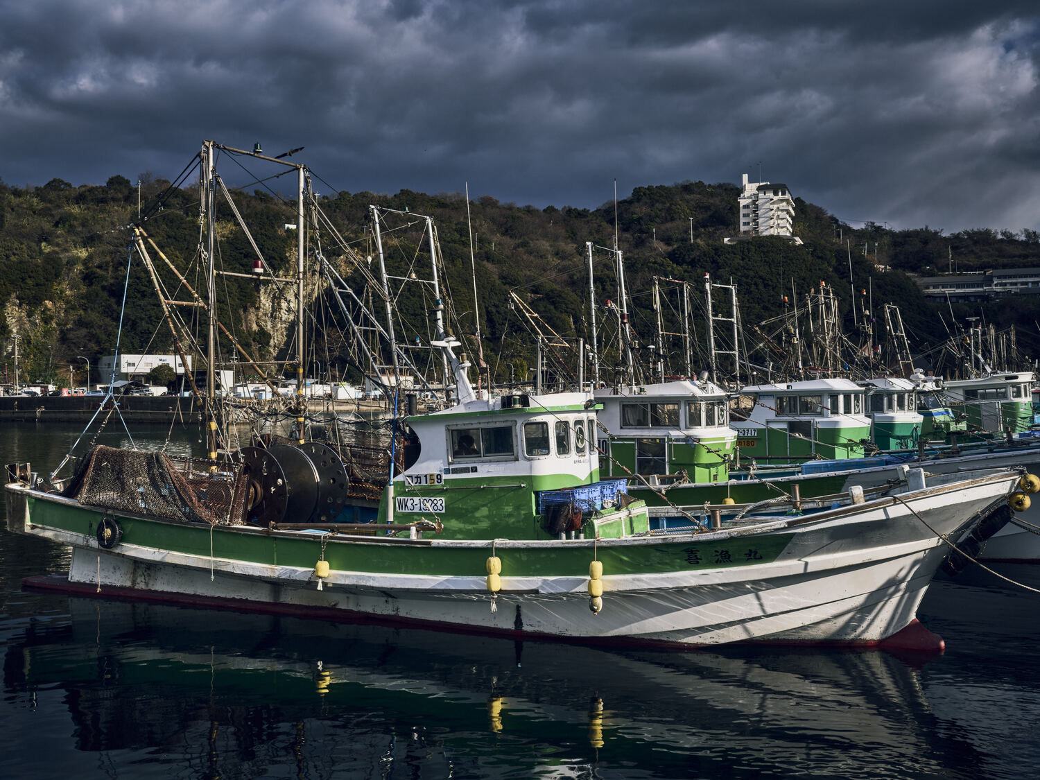冬景（雑賀崎漁港）
