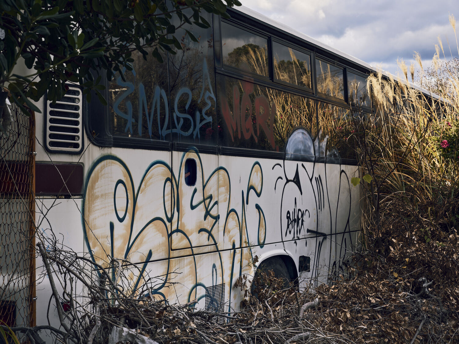 冬草に沈む廃バス