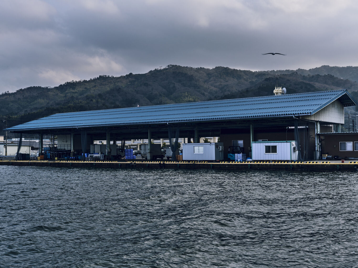 冬の港を渡る風